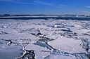 Weddell Sea
