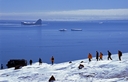 Glacier walking, Brown Bluff