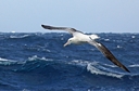 South Scotia Sea
