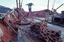 Aboard the Petrel