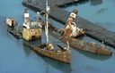 Dias and Albatros, year 2000