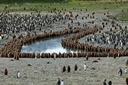 Lagoon at Salisbury Plain
