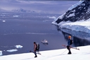 Neko Harbour, Antarctica