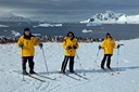 Skiing with gentoo penguins