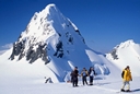 Livingston Island